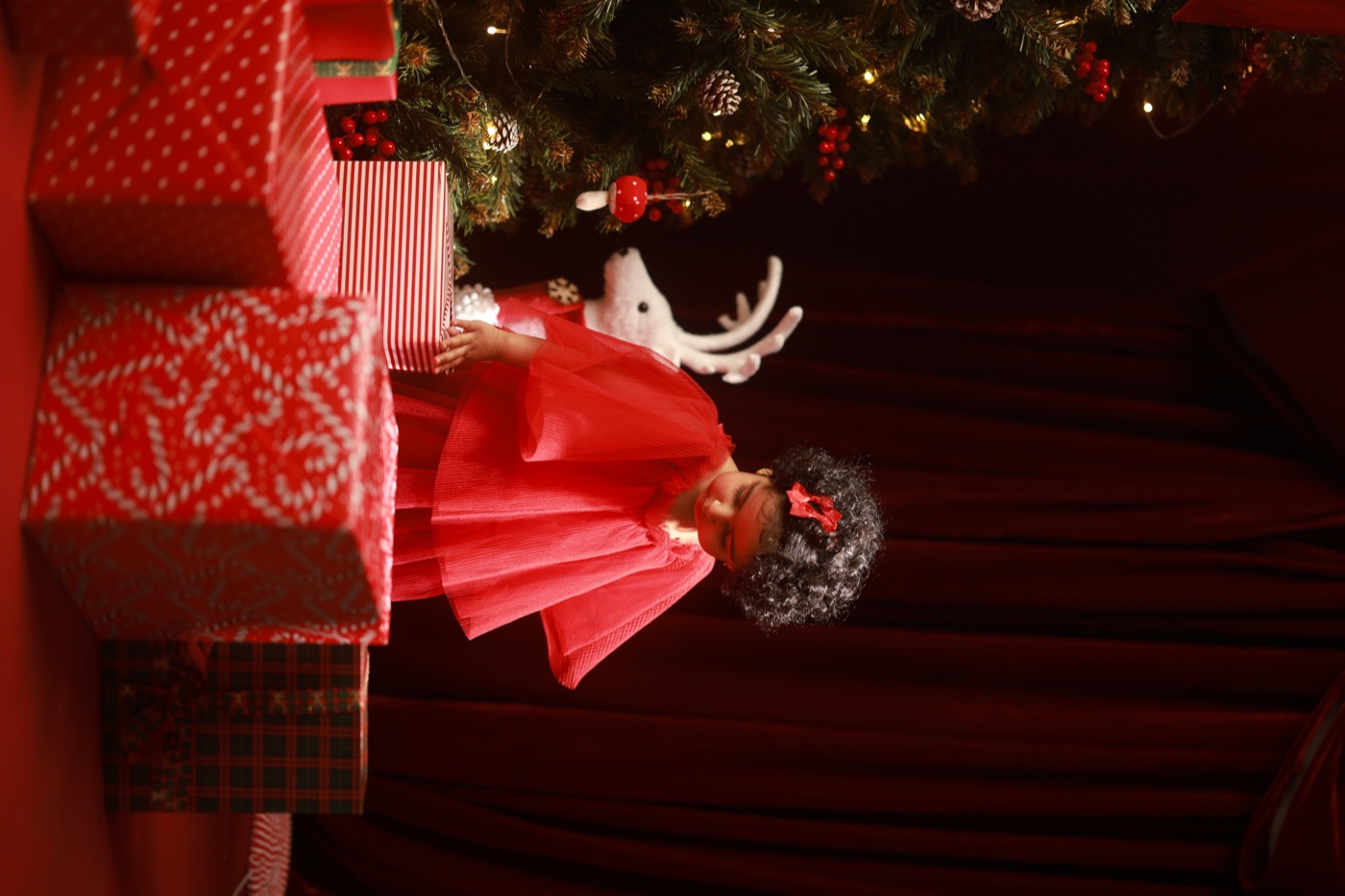 A memory from last year's Christmas sessions, photograph 14